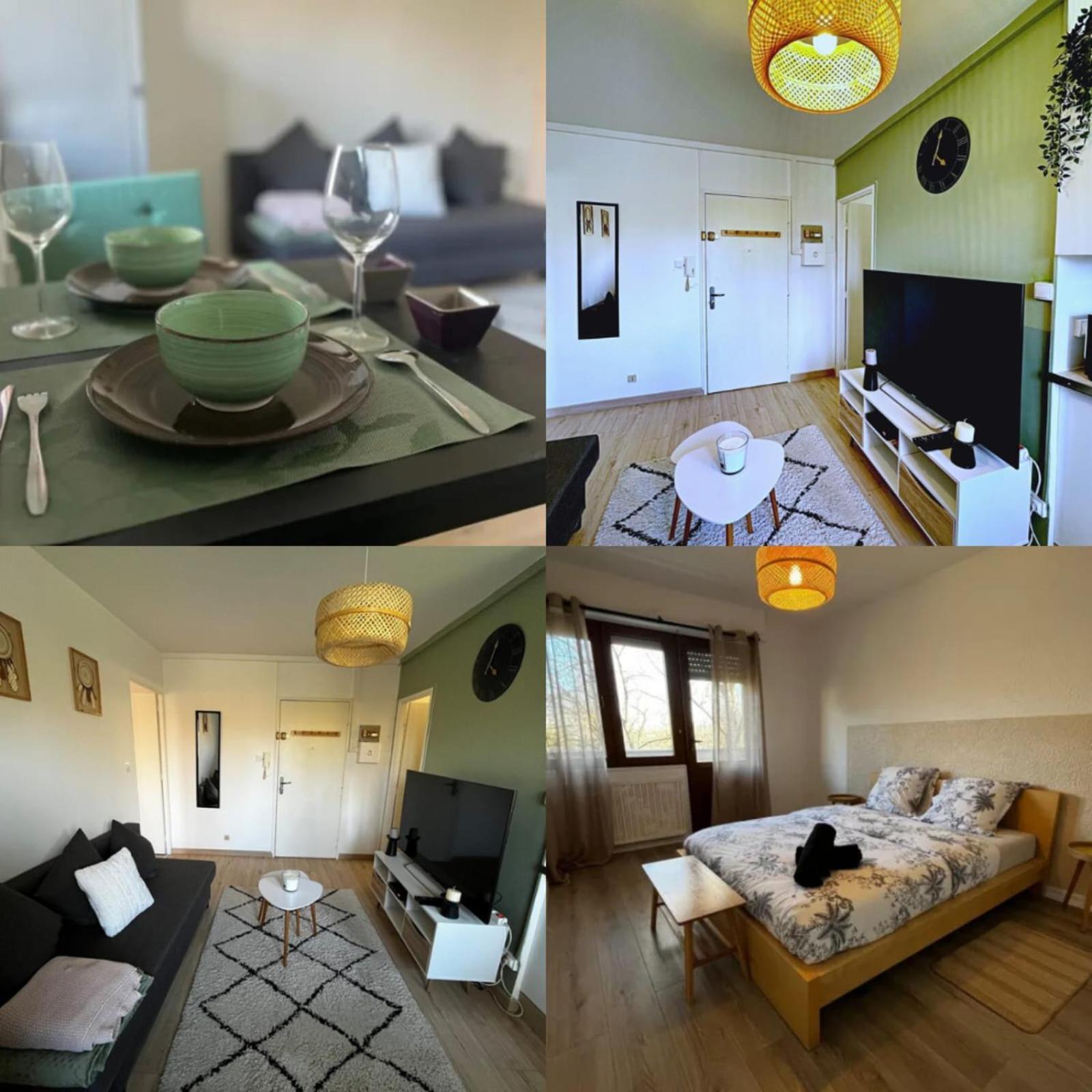 Cosy Rent Strasbourg Appartement Wifi Terrasse Exterior foto